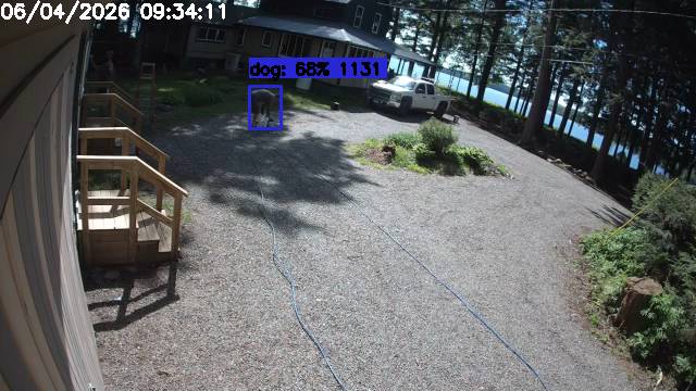 Camp Activity Log: Hikvision Camp