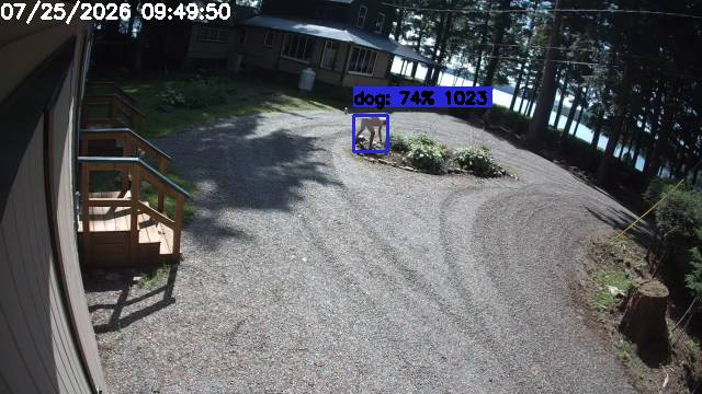 Capture 6